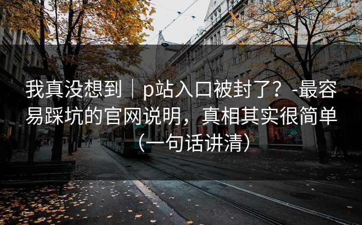 我真没想到｜p站入口被封了？-最容易踩坑的官网说明，真相其实很简单（一句话讲清）