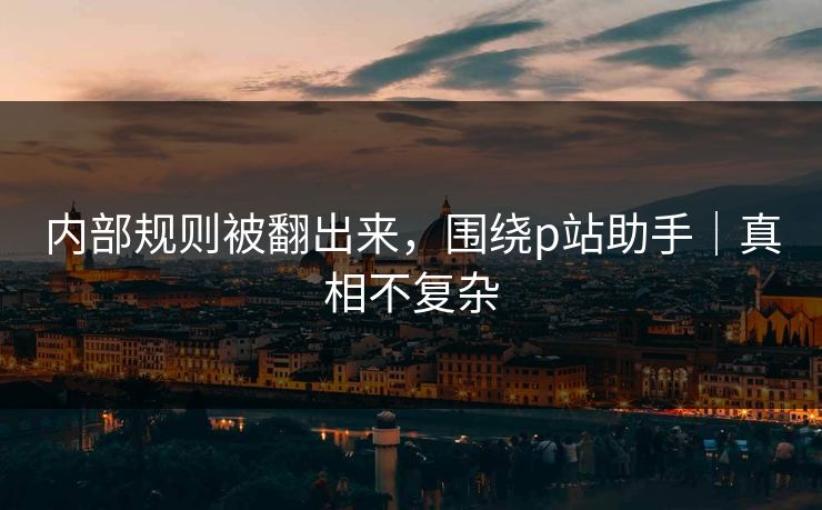 内部规则被翻出来，围绕p站助手｜真相不复杂