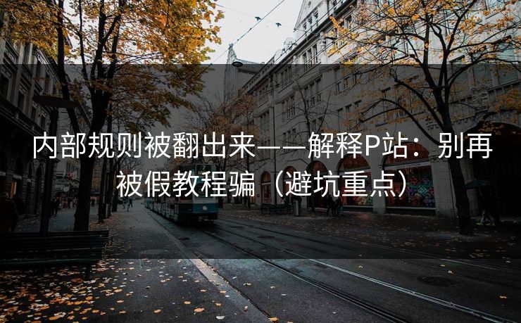 内部规则被翻出来——解释P站：别再被假教程骗（避坑重点）