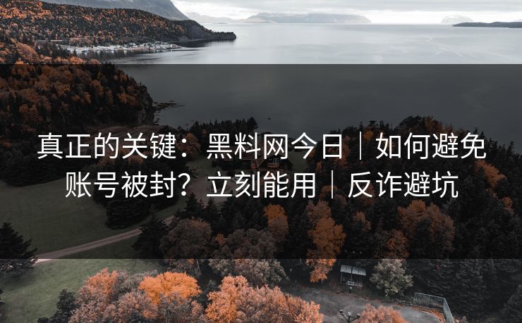 真正的关键：黑料网今日｜如何避免账号被封？立刻能用｜反诈避坑
