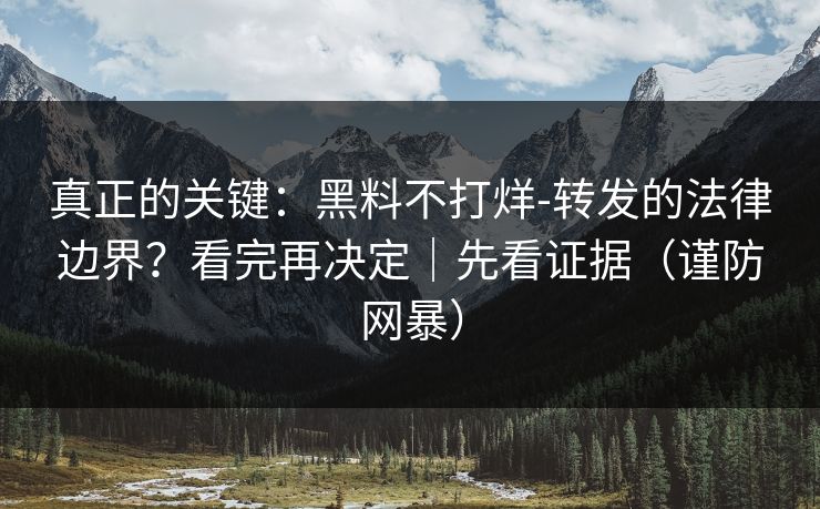 真正的关键：黑料不打烊-转发的法律边界？看完再决定｜先看证据（谨防网暴）