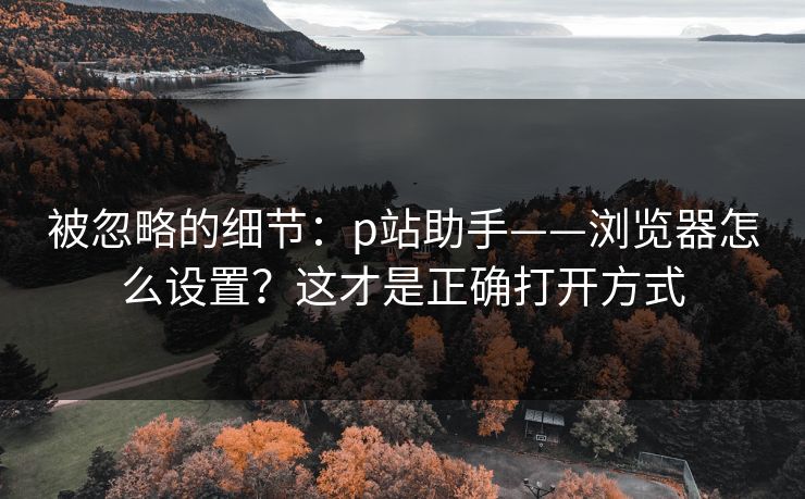 被忽略的细节：p站助手——浏览器怎么设置？这才是正确打开方式