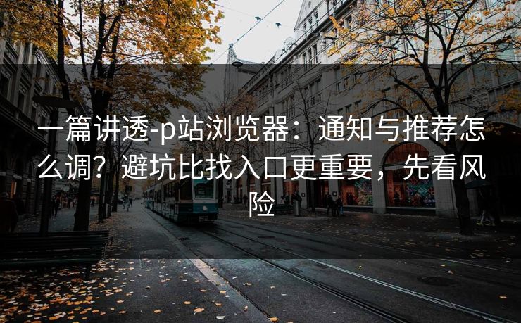 一篇讲透-p站浏览器：通知与推荐怎么调？避坑比找入口更重要，先看风险