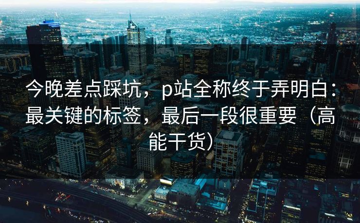 今晚差点踩坑，p站全称终于弄明白：最关键的标签，最后一段很重要（高能干货）