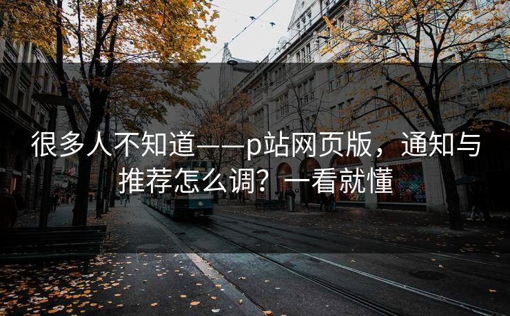 很多人不知道——p站网页版，通知与推荐怎么调？一看就懂