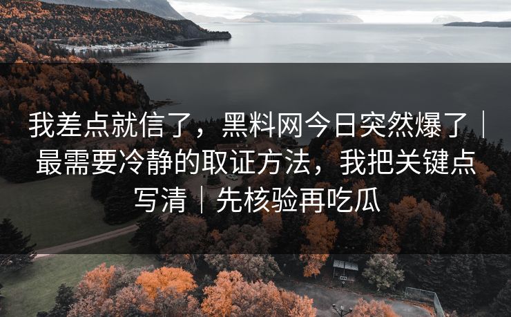 我差点就信了,黑料网今日突然爆了|最需要冷静的取证方法,我把关键点写清|先核验再吃瓜